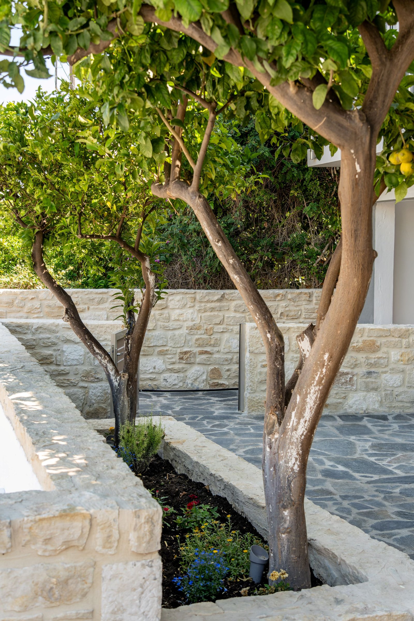 Outdoor space - Photo 12